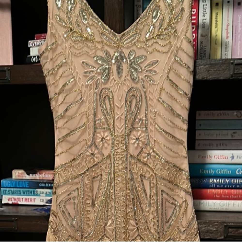 Elegant Beaded Fringe Dress